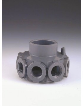 πλευρικός δακτύλιος πολλαπλής