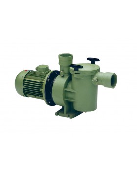 Αντλία 1,5 kW (2 HP) Σύνδεση DN 50-2 