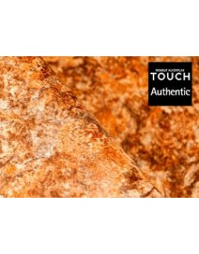 TOUCH AUTHENTIC